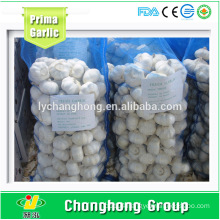 Factory Directly Supply Fresh Garlic with Best Quality